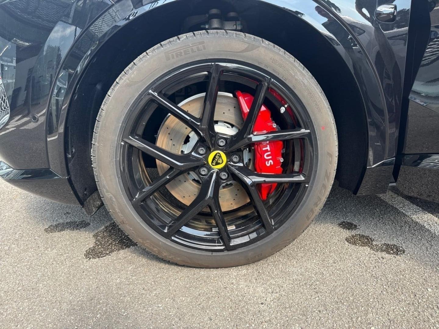 lotus - Visuel 10